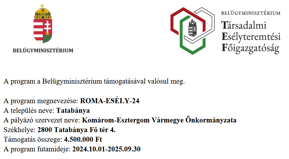 A Belügyminisztérium és a Társadalmi Esélyteremtési Főigazgatóság támogatásával megvalósuló ROMA-ESÉLY-24 program pályázati adatait bemutató grafika